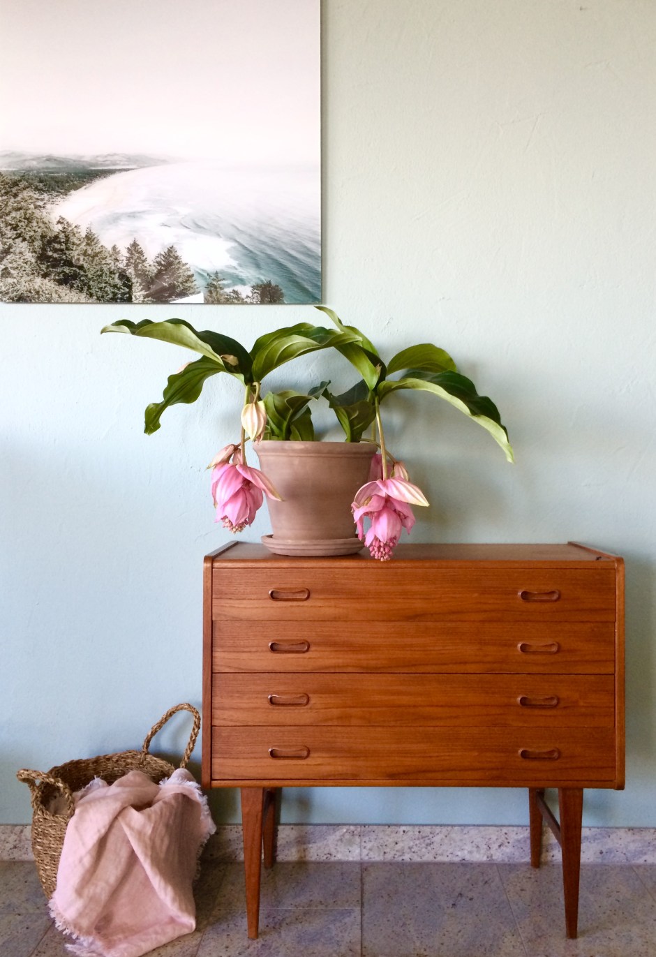 Teak danish chest of Drawers from Tatsiana Switserland bought at VAN ONS Mid century design furniture